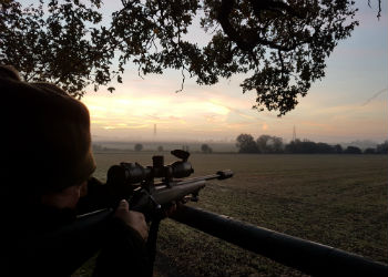 Capreolus Club Stalk Day Sussex